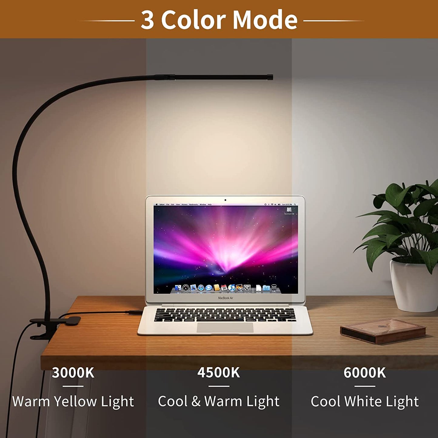 10W LED Desk Lamp