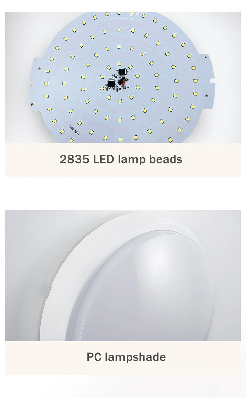 16W 20W Outdoor LED Wall Lamp Garden Porch Surface Mounted Oval Sconce Bathroom Moistureproof Ceiling Light 110V 220V