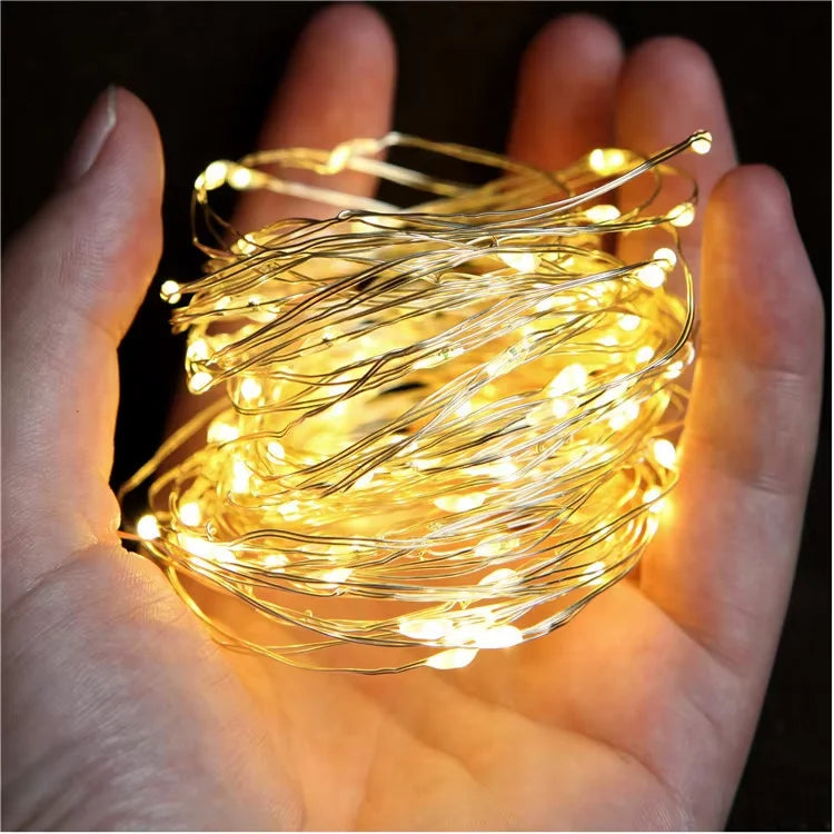 Fairy Lights String Button Battery Light Home