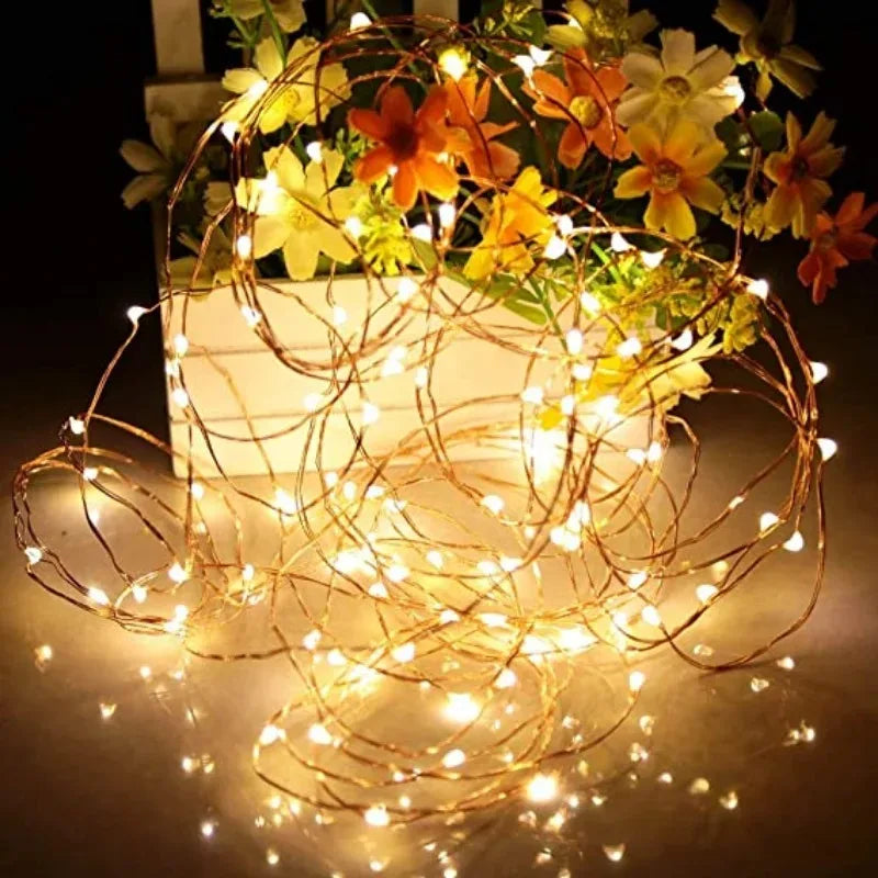 Fairy Lights String Button Battery Light Home