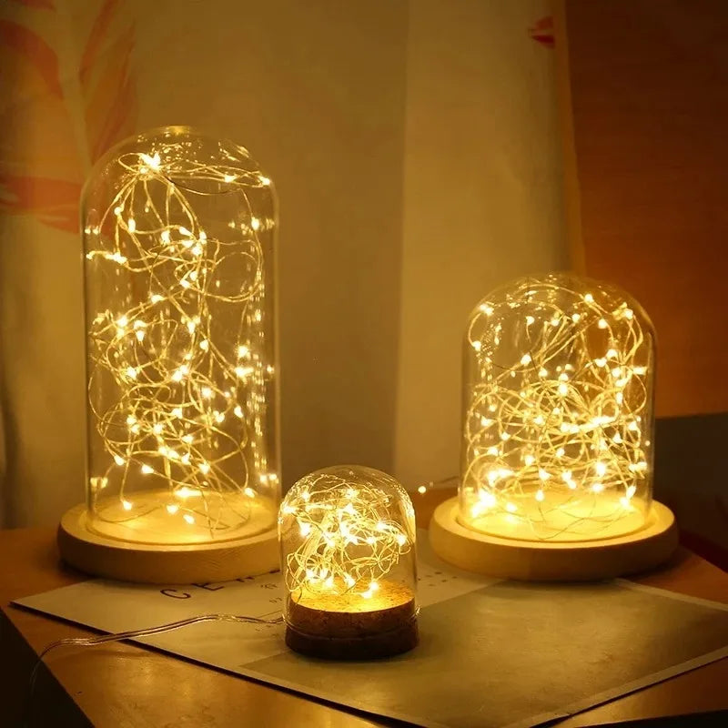 Fairy Lights String Button Battery Light Home