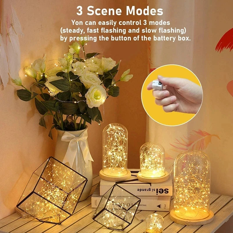 Fairy Lights String Button Battery Light Home